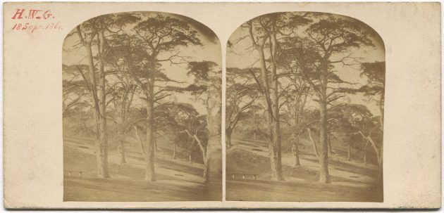 Royal Observatory Greenwich, stereoview (3)